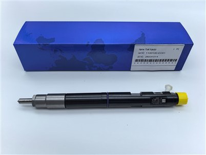 Fuel Injection 28231014 For Great Wall V200 X200 Common Rail Diesel Fuel Injector 4D20 DEL PHI 1100100-ED01