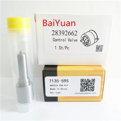 Repair Kit 7135-595 For Delphi Injector